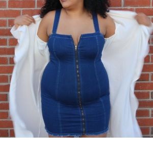 Denim Zip Up Dress